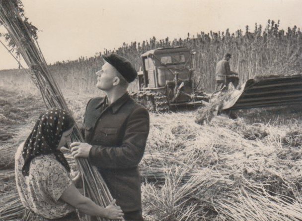 Село Воєгоща, Камінь-Каширський р-н, 1966 р.