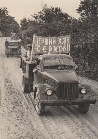 Після збору врожаю пшениці, Турійський р-н, 1959 р.