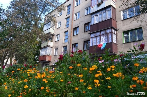 Місто, яке я люблю. Квіти Луцька