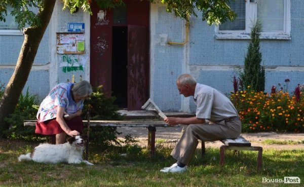 Місто, яке я люблю. Квіти Луцька