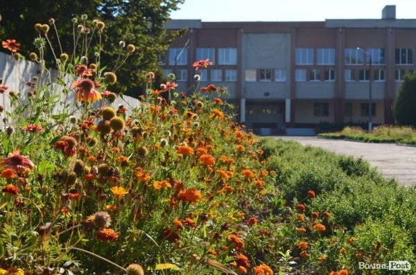 Місто, яке я люблю. Квіти Луцька