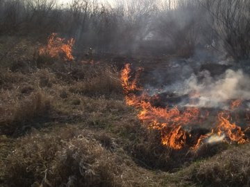 На Волині за минулий тиждень рятувальники ліквідували 117 пожеж