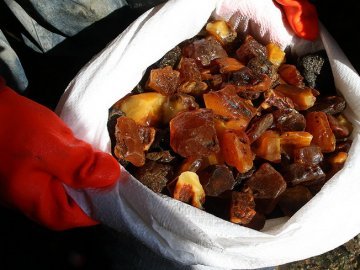 Торік на Волині прикордонники вилучили 94 кілограми бурштину