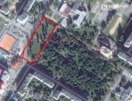 Де в Луцьку можна вигулювати собак. Перелік