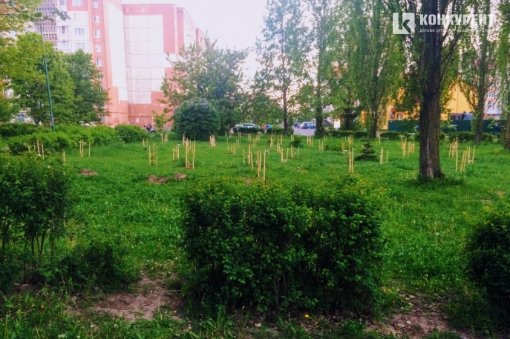 Де в Луцьку можна вигулювати собак. Перелік