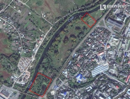 Де в Луцьку можна вигулювати собак. Перелік