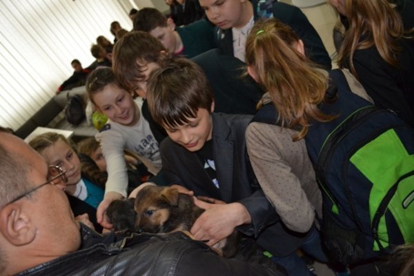 У Луцьку запровадили «уроки» гуманності