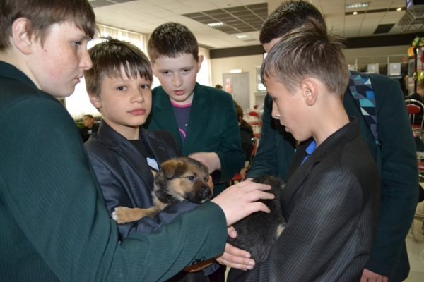 У Луцьку запровадили «уроки» гуманності