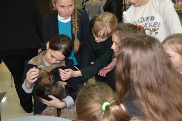 У Луцьку запровадили «уроки» гуманності