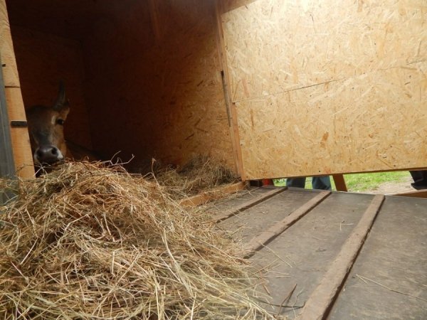 У луцькому зоопарку − новий мешканець. ФОТО