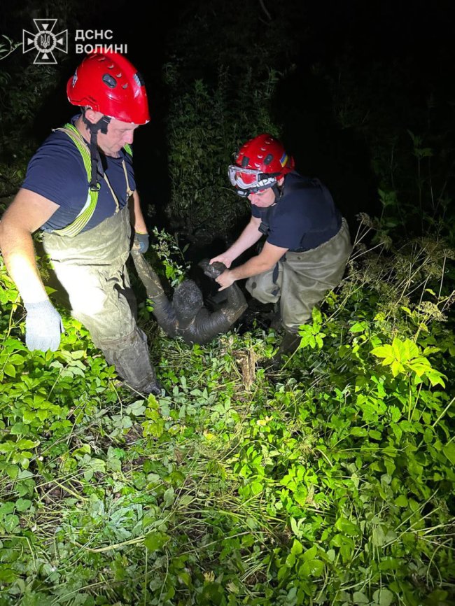 Кликав на допомогу: у Луцьку вночі витягнули з болота 28-річного чоловіка