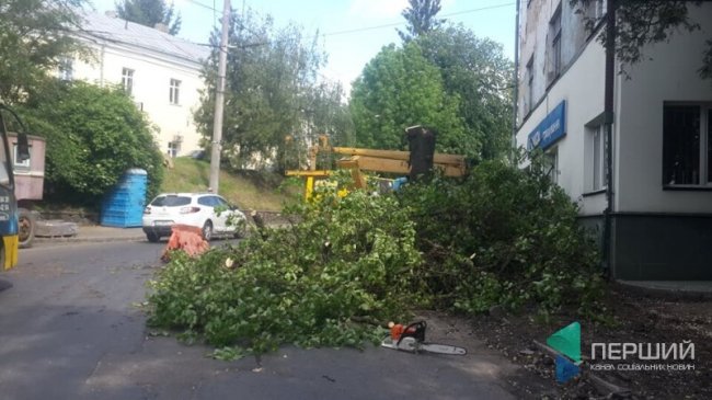 У центрі Луцька ремонтують вулицю і зрізають дерева. ФОТО