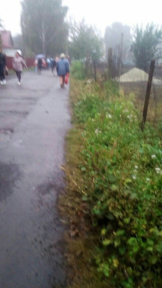 Замість чагарників: у райцентрі на Волині просять облаштувати доріжку біля дитсадка