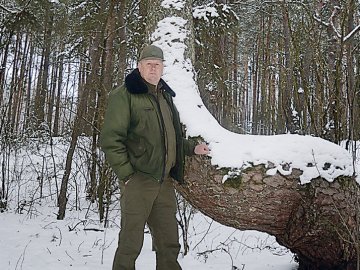 Кривий ліс, який розташований поблизу селища Колки, хочуть зробити туристичною принадою