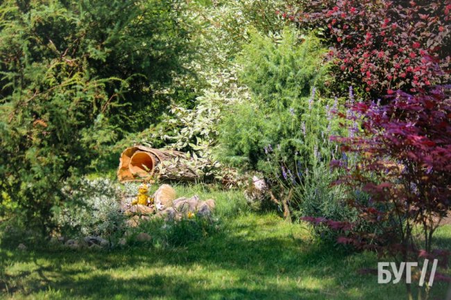 Замість сміттєзвалища волинянка створила зону відпочинку біля багатоповерхівок. ФОТО