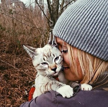 Добірка знімків котів, які подорожують зі своїми господарями. ФОТО