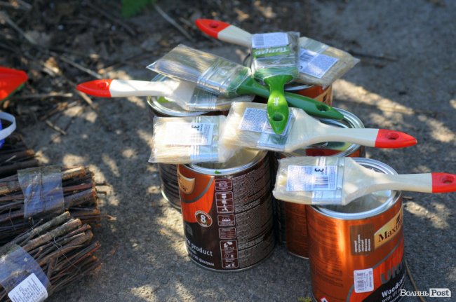 Чисто, як вдома: лучани влаштували велику толоку в парку 900-річчя. ФОТО