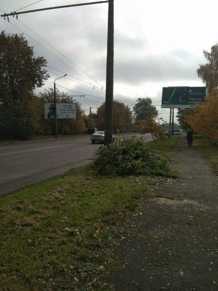  Лучан, які викидають «заборонені» речі в контейнери, штрафуватимуть