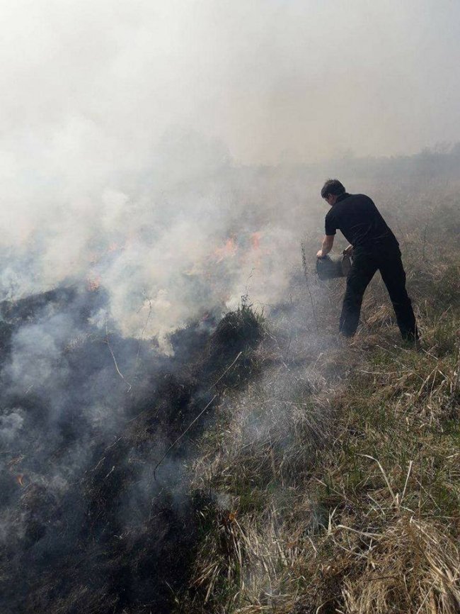 На березі Стиру горіла суха трава. ФОТО