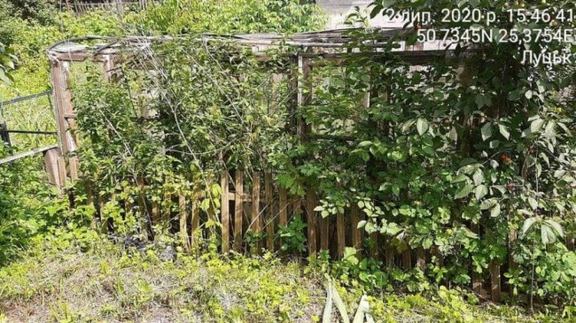  Нібито приватні території: мешканців луцьких багатоповерхівок змушують демонтувати незаконні паркани, городи і шини з квітами 