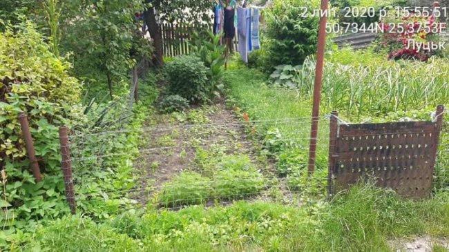  Нібито приватні території: мешканців луцьких багатоповерхівок змушують демонтувати незаконні паркани, городи і шини з квітами 