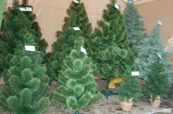 У центрі Луцька розгорнули новорічний ярмарок. ФОТО