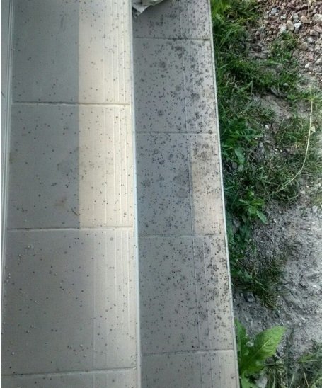 На Київщині випав чорний дощ. ФОТО