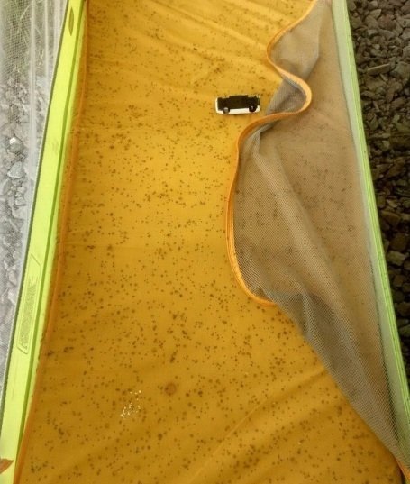 На Київщині випав чорний дощ. ФОТО