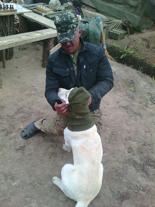 Фото з передової: військові та їх улюбленці. ФОТО