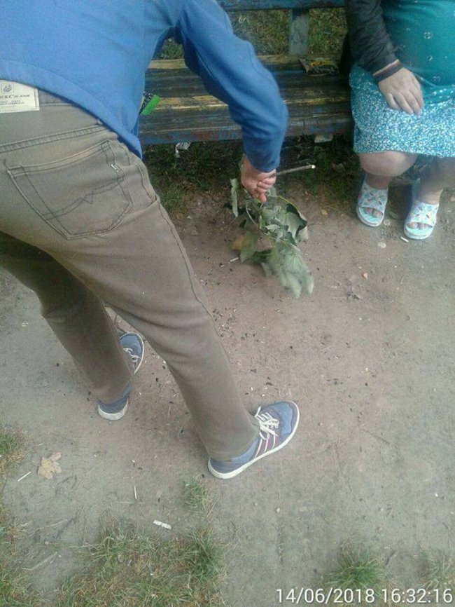 Насмітив – прибери: лучан змусили прибрати «напльоване»  лушпиння