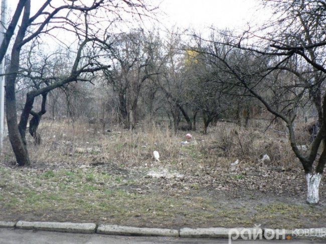 Сміття, мотлох і хащі: ковельський депутат просить прибрати «лице міста». ФОТО