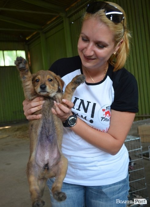 Марина Іванова показує цуценятко, якому учора зробили операцію. Розріз на животі такий малий, що його ледве можна розгледіти