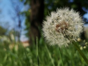 Погода в Луцьку та Волинській області на четвер, 21 травня