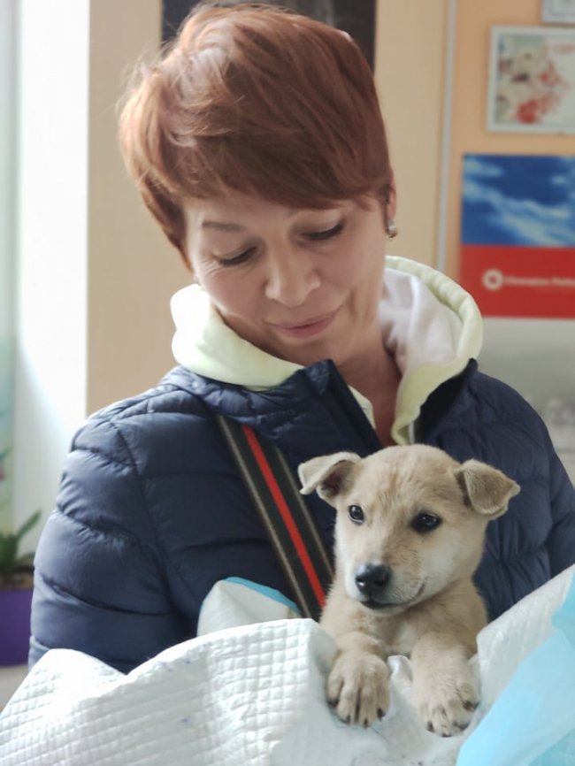 У Луцьку п'яні чоловіки познущались над цуценям. ФОТО