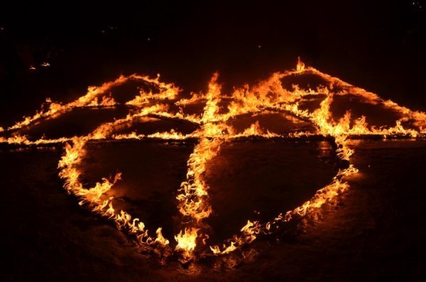 У центрі Луцька на честь Героїв Крут палав тризуб. ФОТО. ВІДЕО