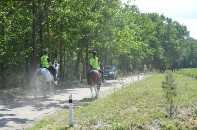 У волинських лісах запровадили кінні патрулі