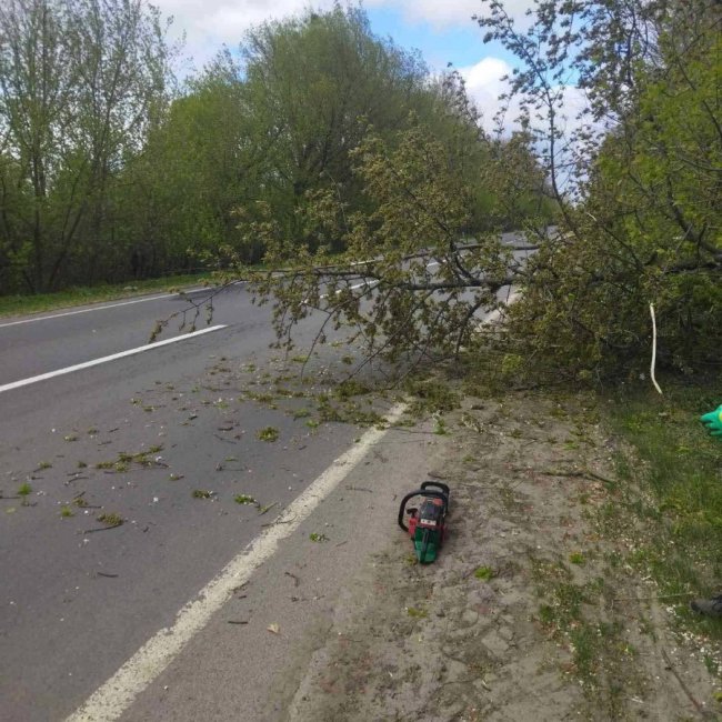 Перевернута зупинка і пошкоджена автівка: на Волині вітер наробив лиха. ФОТО, ВІДЕО