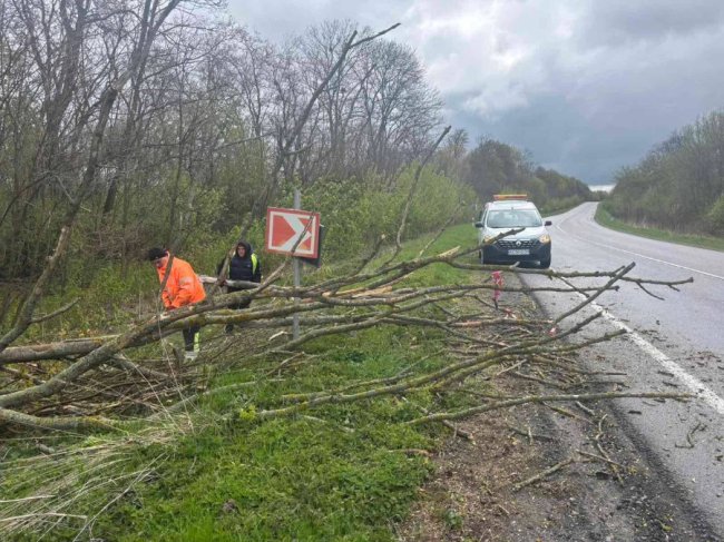 Перевернута зупинка і пошкоджена автівка: на Волині вітер наробив лиха. ФОТО, ВІДЕО