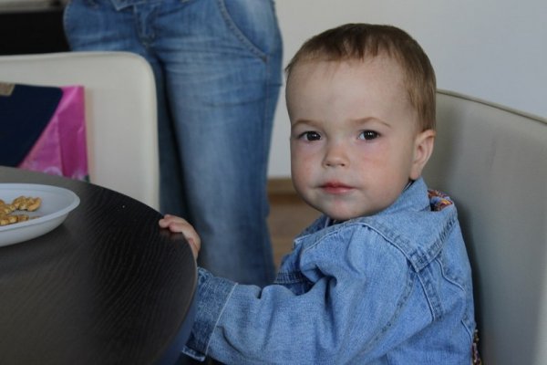 У Луцьку пройде сімейне свято «Еко-Ко»