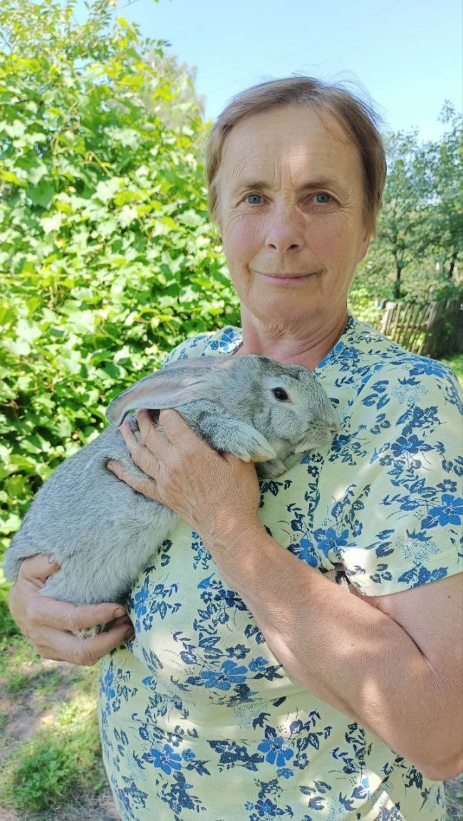 На Волині до крайнього села ветеринар добирається 18 кілометрів конем