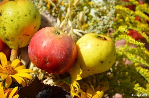 Як у Луцьку віряни відзначали Яблучного Спаса. ФОТО