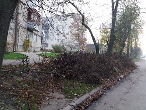 Луцьких комунальників просять прибрати за собою. ФОТО
