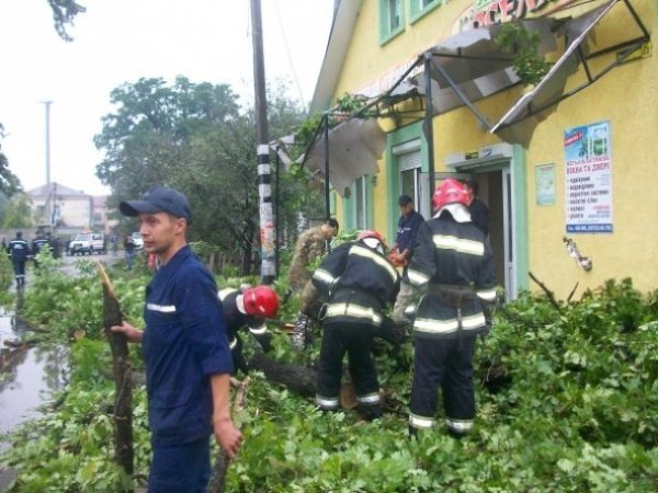 На Рівненщині під час бурі повиривало багаторічні дуби. ФОТО