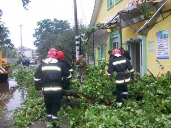 На Рівненщині під час бурі повиривало багаторічні дуби. ФОТО