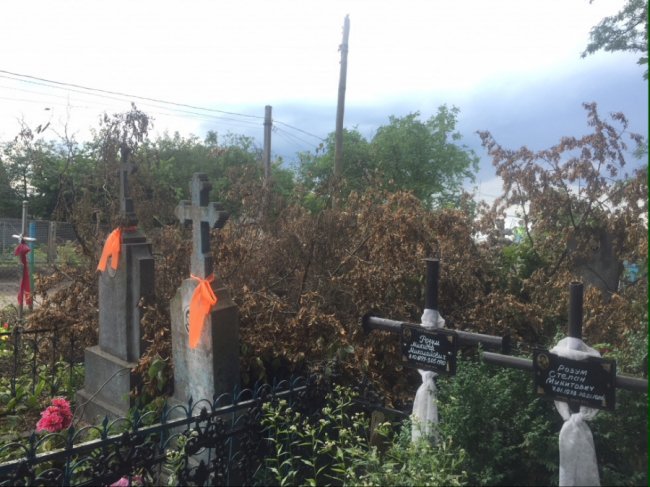 Вандалізм на кістках: у Ківерцях комунальників звинувачують у знищенні кладовища. ФОТО