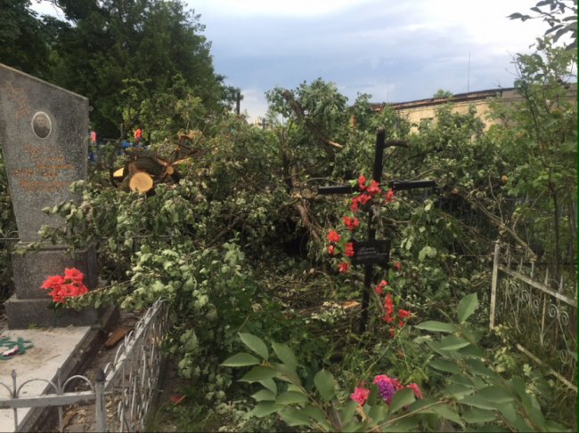 Вандалізм на кістках: у Ківерцях комунальників звинувачують у знищенні кладовища. ФОТО