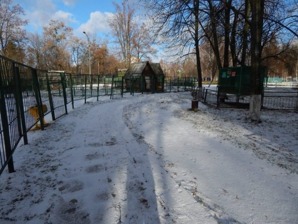 Сніг у Луцькому зоопарку. ФОТО