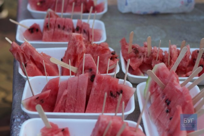 У місті на Волині день фізкультури відзначили забігом «Під каштанами». ФОТО