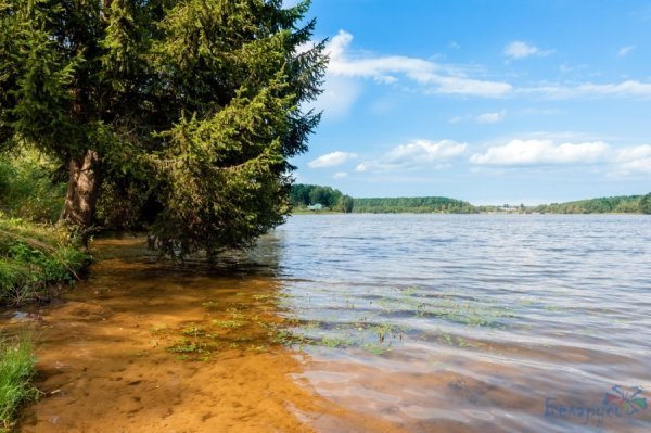 На Волині Шацький парк може отримати спеціальний статус. ФОТО