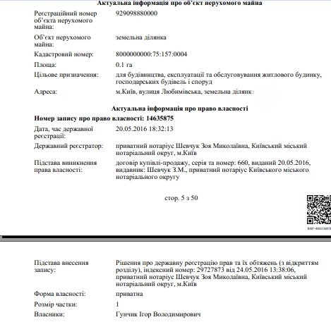 Син Гунчика (земля в Києві)